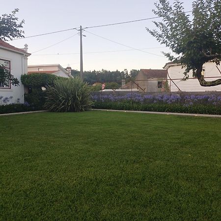 Vila Delfina Lousã Eksteriør bilde