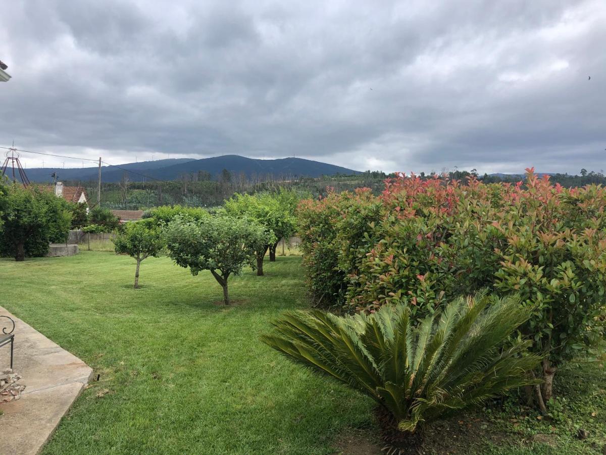 Vila Delfina Lousã Eksteriør bilde