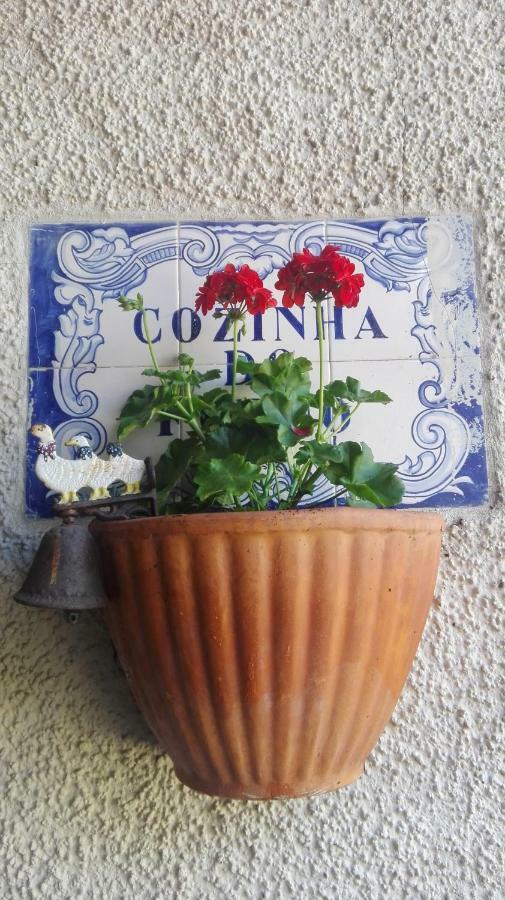Vila Delfina Lousã Eksteriør bilde